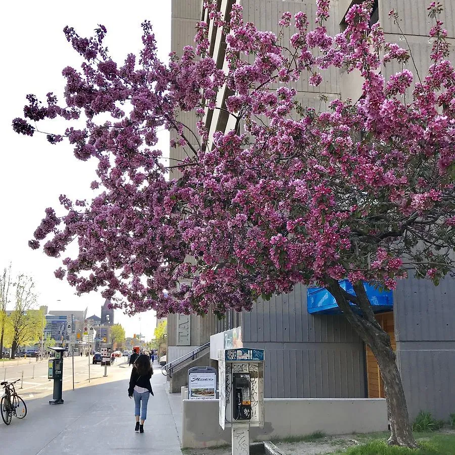 Hotel Tartu College Student Residence Toronto Canadá